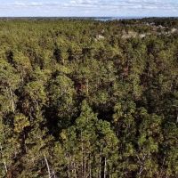 Dog River Road Development Tract images 4
