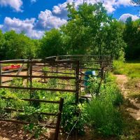 60 Development Acres Cleveland Texas images 2