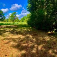 60 Development Acres Cleveland Texas images 3