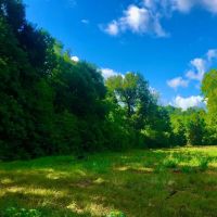 60 Development Acres Cleveland Texas images 4