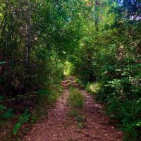 60 Development Acres Cleveland Texas images 5