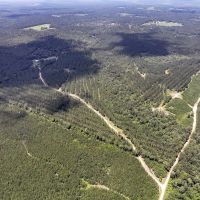 29 Acres CR 1425 T-13 images 2