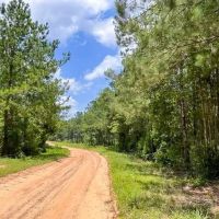 29 Acres CR 1425 T-13 images 4