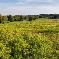 37 Acres of Unlimited Potential Elroy WI images 4