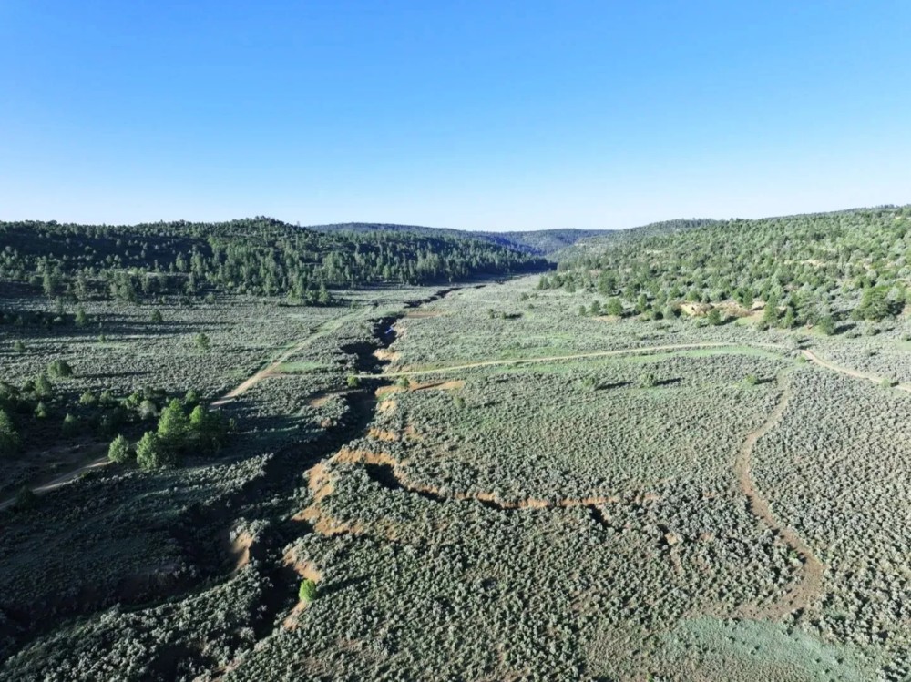 Maverick Valley Ranch featured image