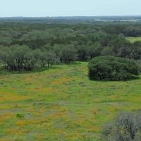 SOUTHWINDS RANCH 100 ACRES images 2
