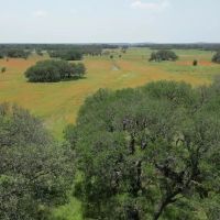 SOUTHWINDS RANCH 100 ACRES images 3