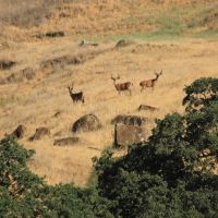 Buckeye Creek Ranch images 3