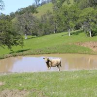 Buckeye Creek Ranch images 5