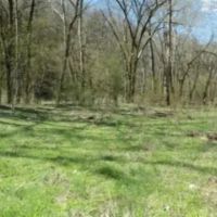 Baugh Hollow Rd Lot 1