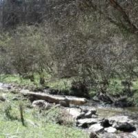Baugh Hollow Rd Lot 1 images 5