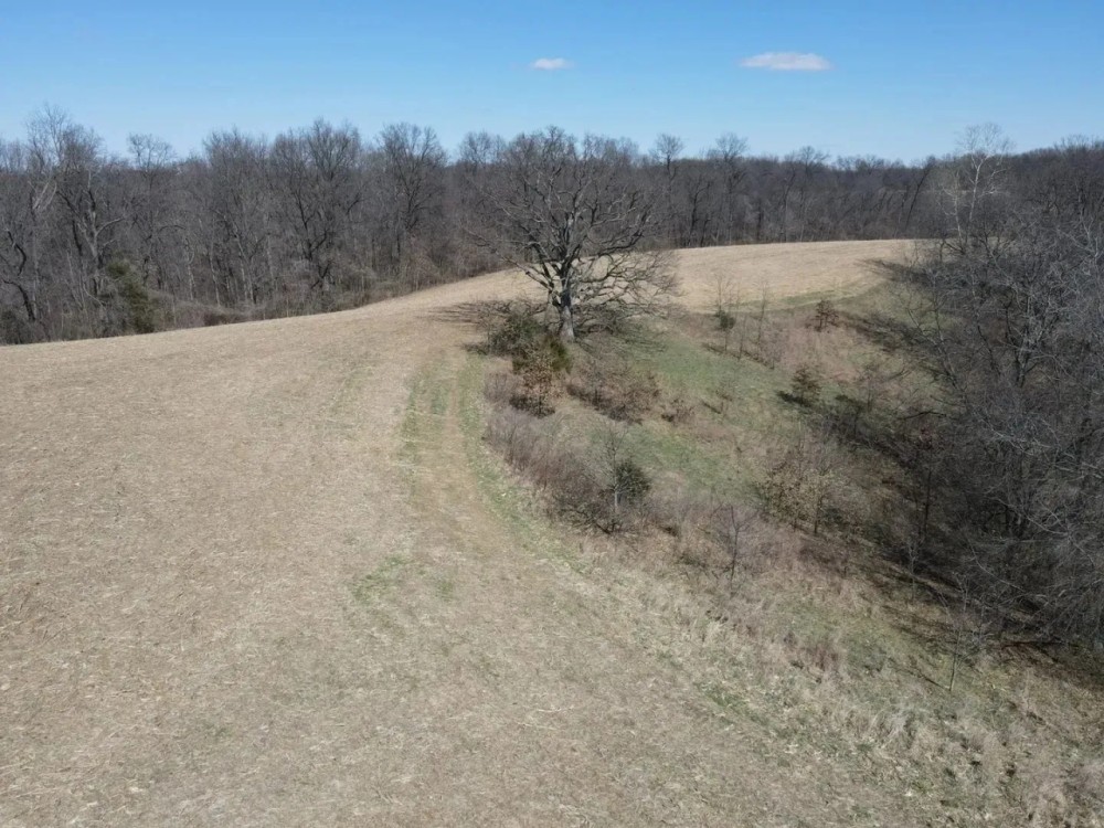 multi-use property of 202 acres in Pike County featured image