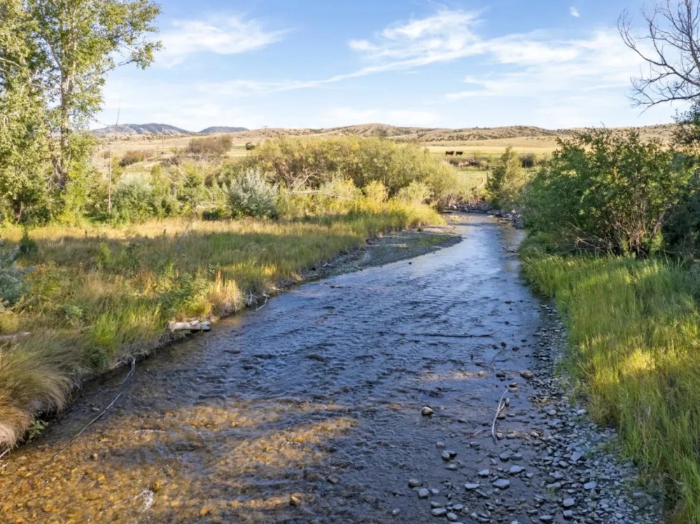Deep Creek Wildlife Sanctuary featured image