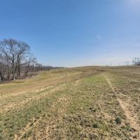Auction - 72 acres - Holmes County images 4