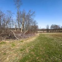 Auction - 72 acres - Holmes County images 5