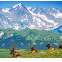 Rocky Mountain National Park 265,769 acres Elk Hunting in Larimer, CO images 4