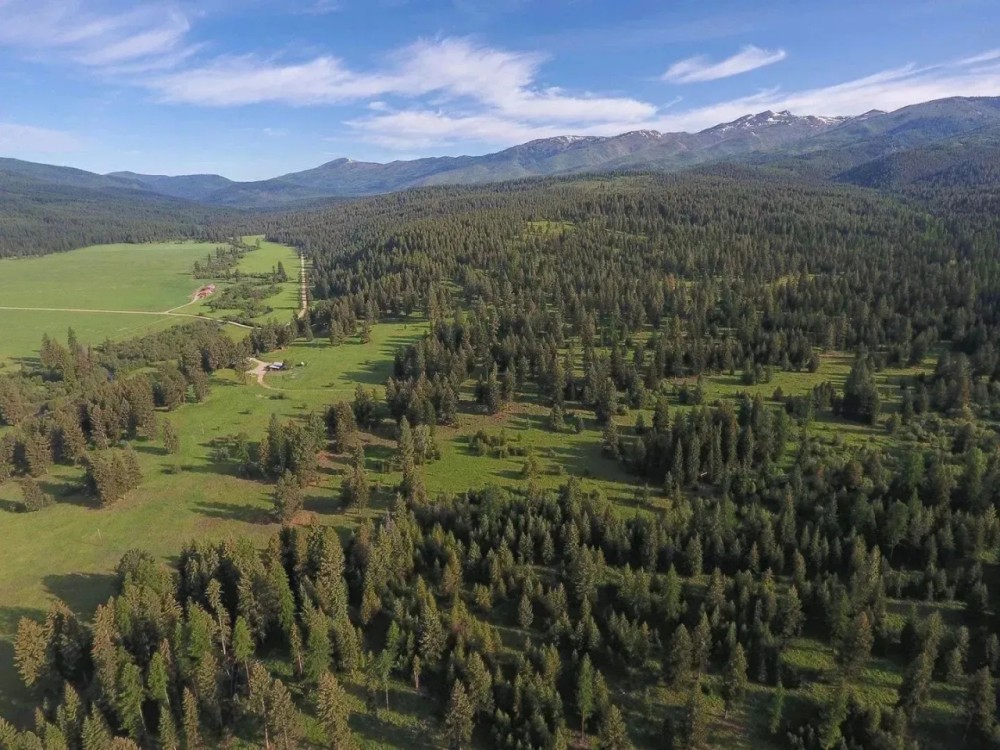 Pine Creek Ranch featured image
