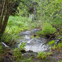 Pine Creek Ranch images 2
