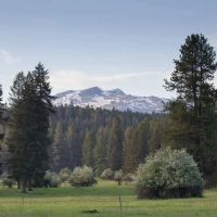 Pine Creek Ranch images 3