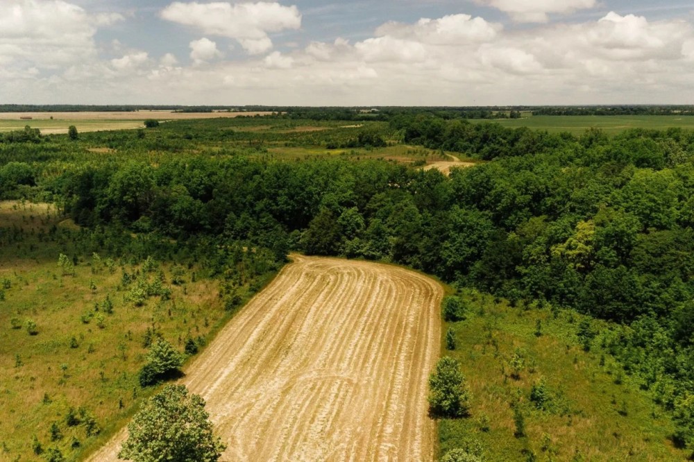 354 Acres in Coahoma County MS - Sessions Place featured image