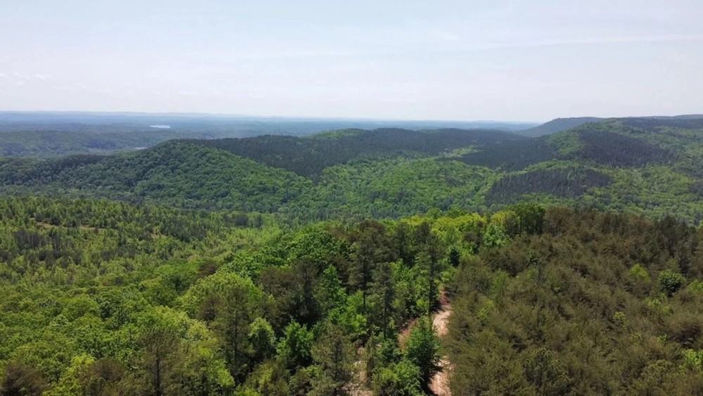 Walk off of your property and on to state land featured image