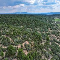 Brazos Vista Ranch images 3