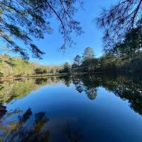 Secluded Cabin overlooking Large Pond images 2