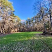 Secluded Cabin overlooking Large Pond images 3