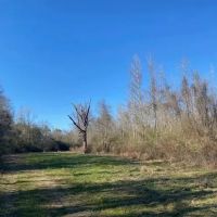 Secluded 26 acres- Hunting- Power Water images 3