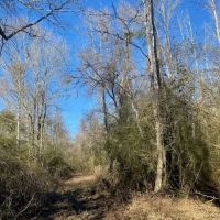 Secluded 26 acres- Hunting- Power Water images 5