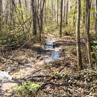 Newman Road images 2