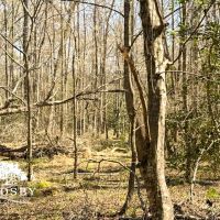 Newman Road images 4