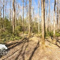 Newman Road images 5
