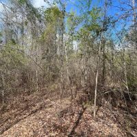 Hunters Little Getaway images 5