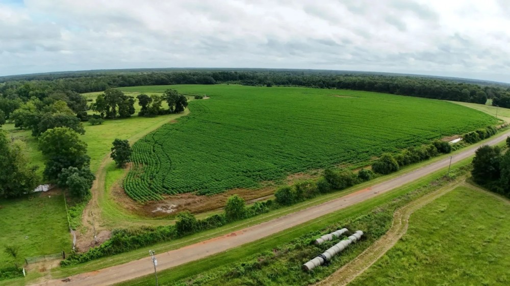 Diverse Property - Just Outside of Edison GA featured image