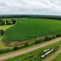 Diverse Property - Just Outside of Edison GA