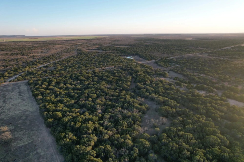 New Listing 24 - Acres Taylor County featured image