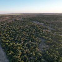 New Listing 24 - Acres Taylor County