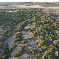 New Listing 24 - Acres Taylor County images 2