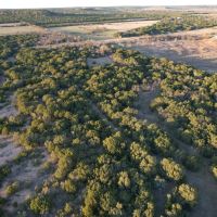 New Listing 24 - Acres Taylor County images 3