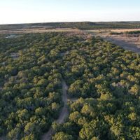New Listing 24 - Acres Taylor County images 4