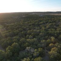 New Listing 24 - Acres Taylor County images 5