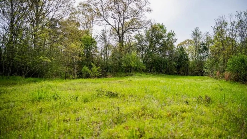 Affordable Property in Woodville MS featured image