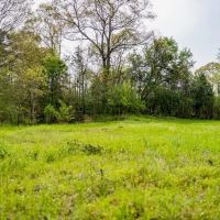 Affordable Property in Woodville MS