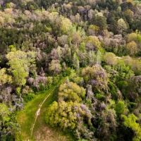 Affordable Property in Woodville MS images 2