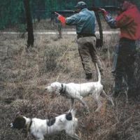 Seasonal Preserve Hunting in Southeast Louisiana
