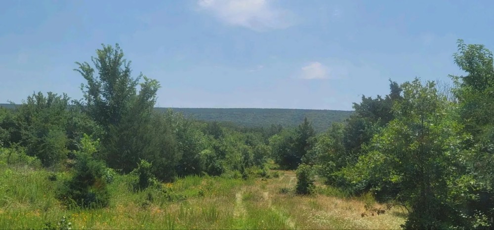 JOSLIN VALLEY Tract E featured image