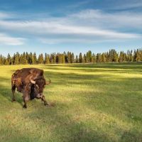 Ninemile Valley Ranch images 4