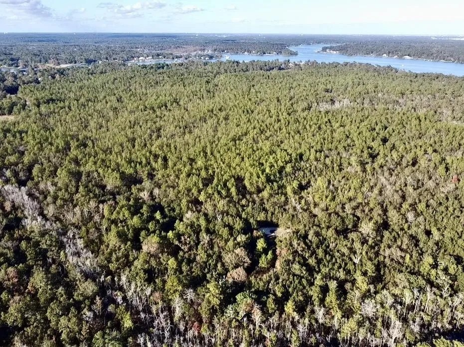 Divisible Waterfront Alligator Bayou Development Tract featured image