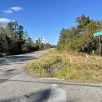 Divisible Waterfront Alligator Bayou Development Tract images 4